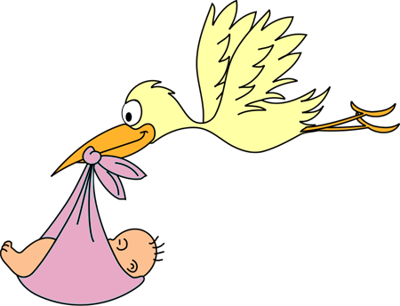 0830.stork-flying-pink