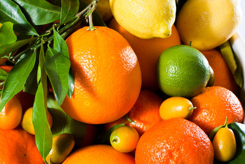 rp_citrus-fruits.jpg