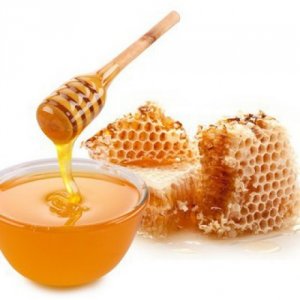 Пчелен клей (прополис) – естествен имуностимулант и натурален антибиотик