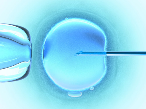 rp_in-vitro-fertilization.jpg