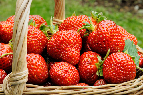 rp_strawberries.jpg