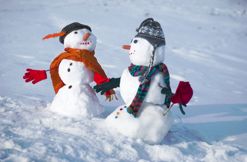 18 януари: Международен ден на Снежния човек
