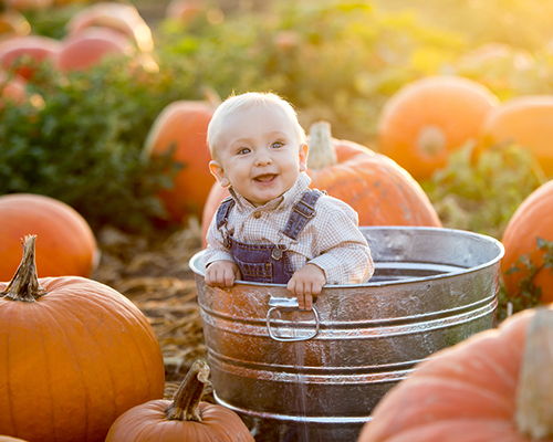 Вкусни бебешки рецепти с даровете на есента (част 1)