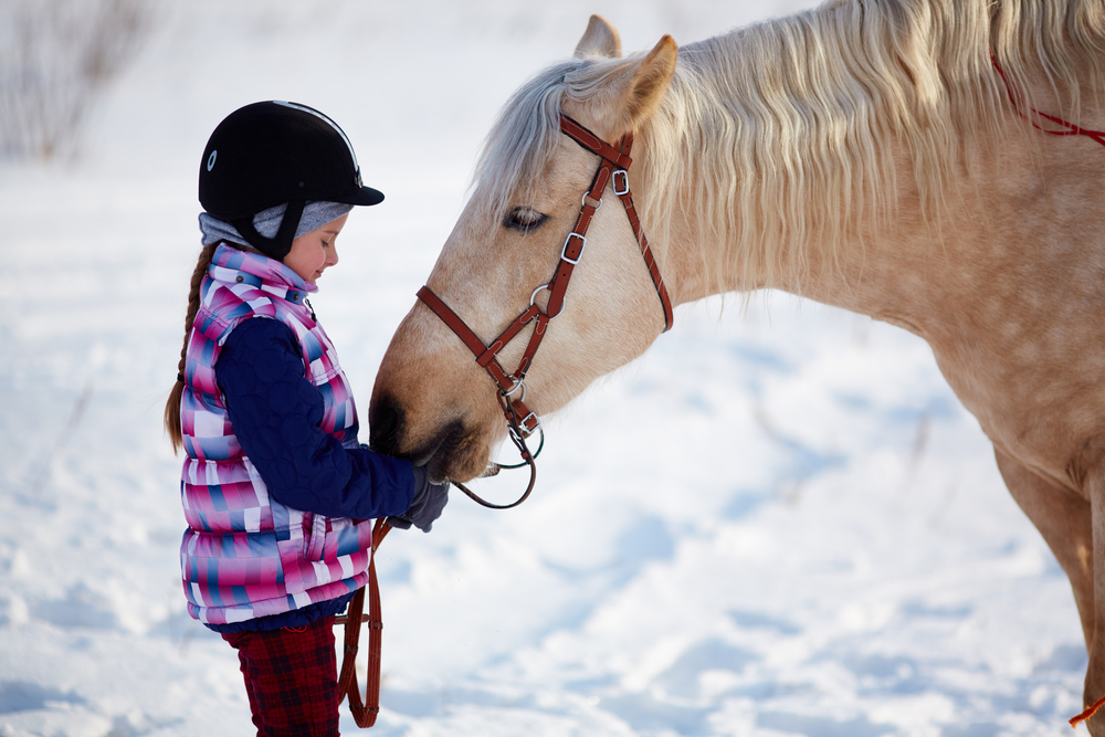 Лекуват деца с увреждания с конна езда