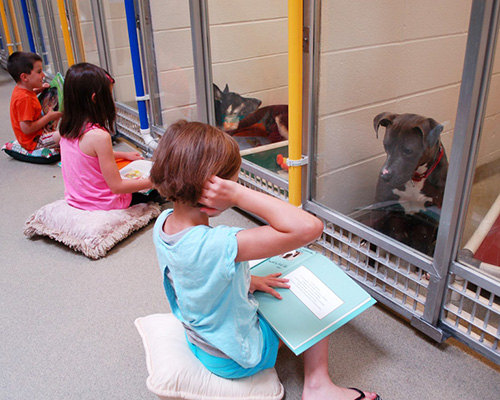 kids-read-shelter-dogs-human-society-of-missouri