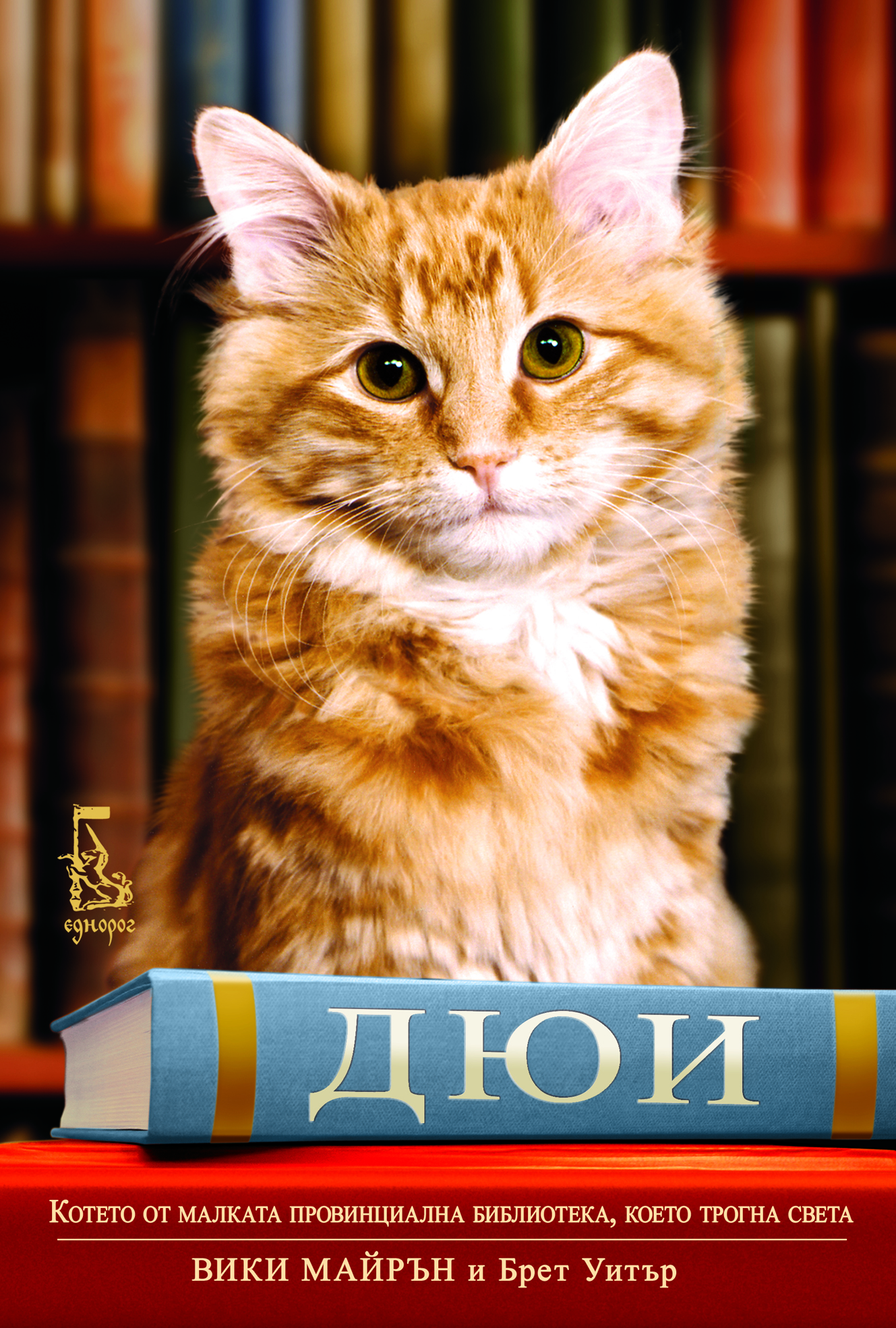 Дюи – котето от малката провинциална библиотека, което трогна света