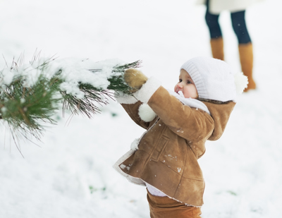 22 причини да обичаме зимата