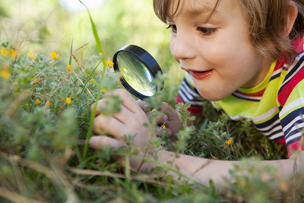 Децата, които прекарват повече време сред природата, са по-щастливи