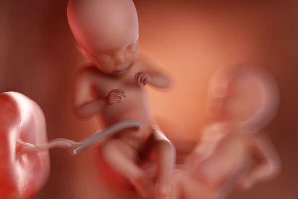 Неродени близнаци бяха спасени благодарение на вътреутробно кръвопреливане