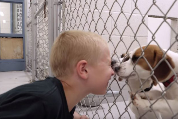 Седемгодишно момченце помогна на 1300 кучета и стана “Дете на годината”