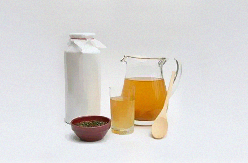 Ферментирал чай Комбуча