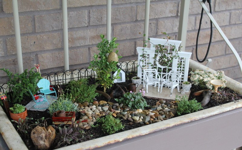 03-Miniature Garden closeup