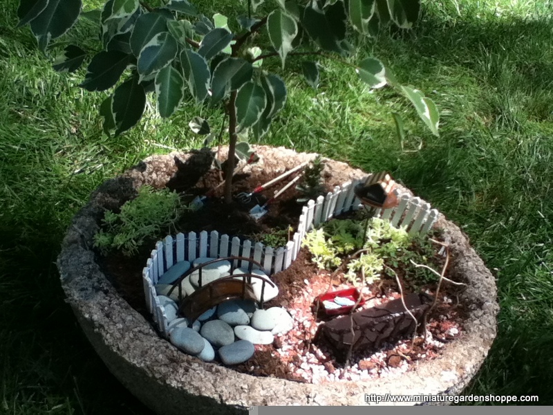 11- Miniature Garden photo