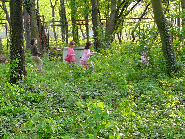 деца играят сред природата