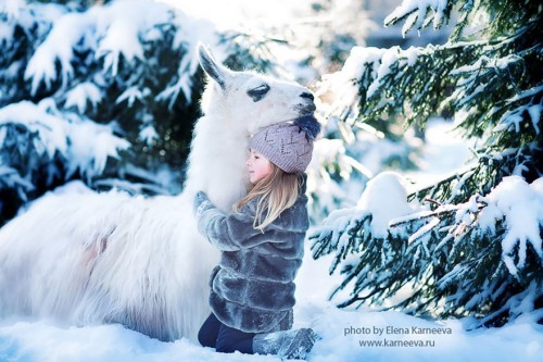 animal-children-photography-elena-karneeva-222__880