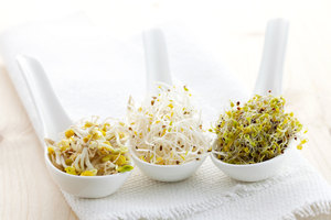 sprouts_spoons