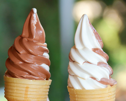 МЗ забрани продажбата на сладолед в училищата в Добрич