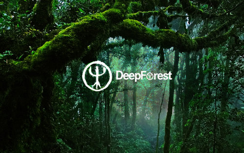 Deep Forest 3