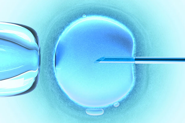В Кеймбридж създадоха изкуствен ембрион
