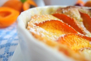 apricot-recipes